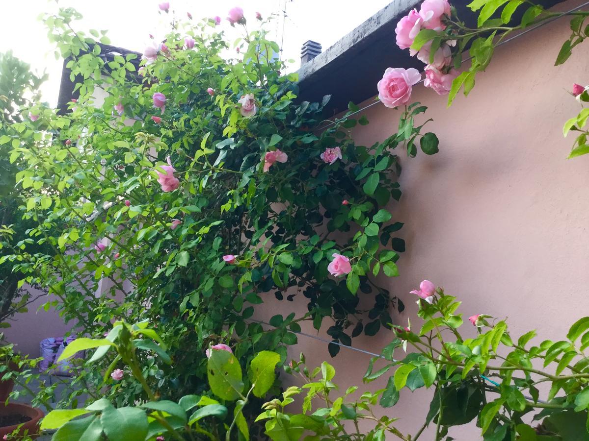 B&B Pescarenico レッコ エクステリア 写真